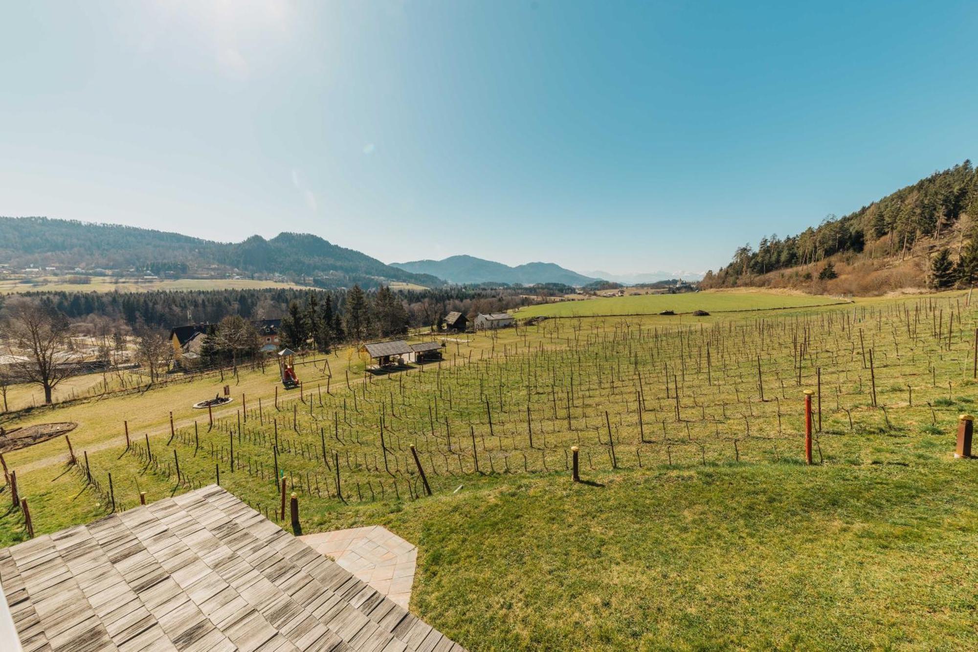 Laengseeleit'N Sankt Georgen am Längsee Exterior foto